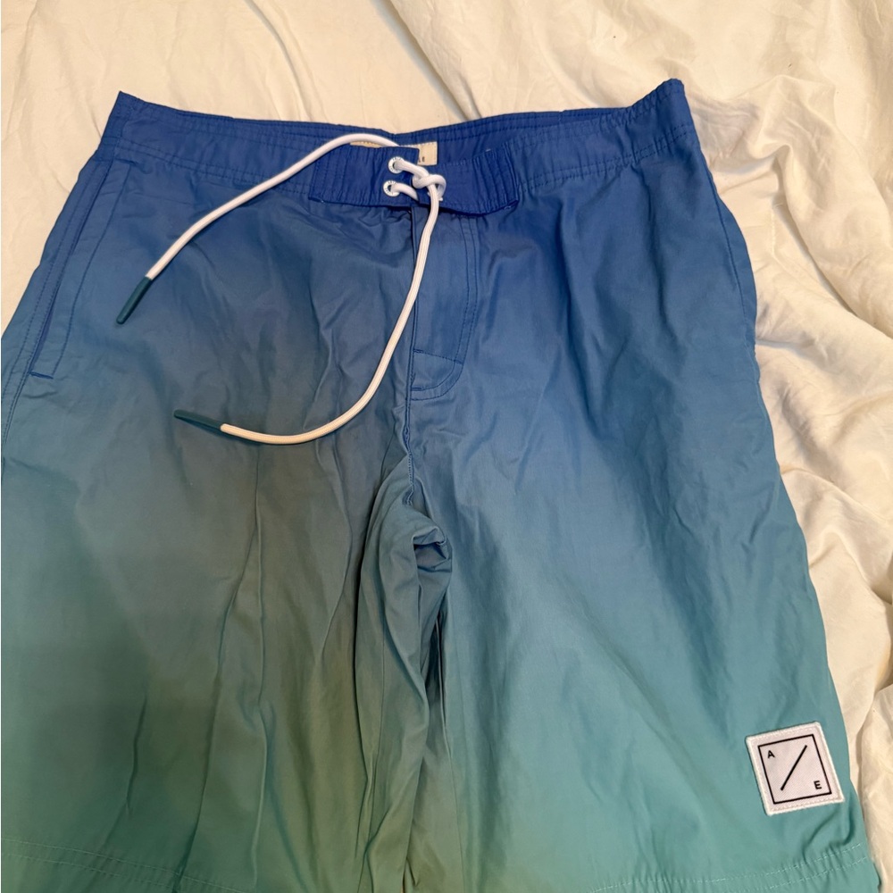 American Eagle Outfitters Blue Swim Shorts